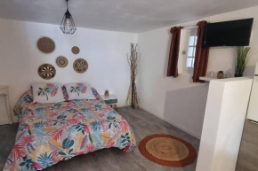Studio en camargue